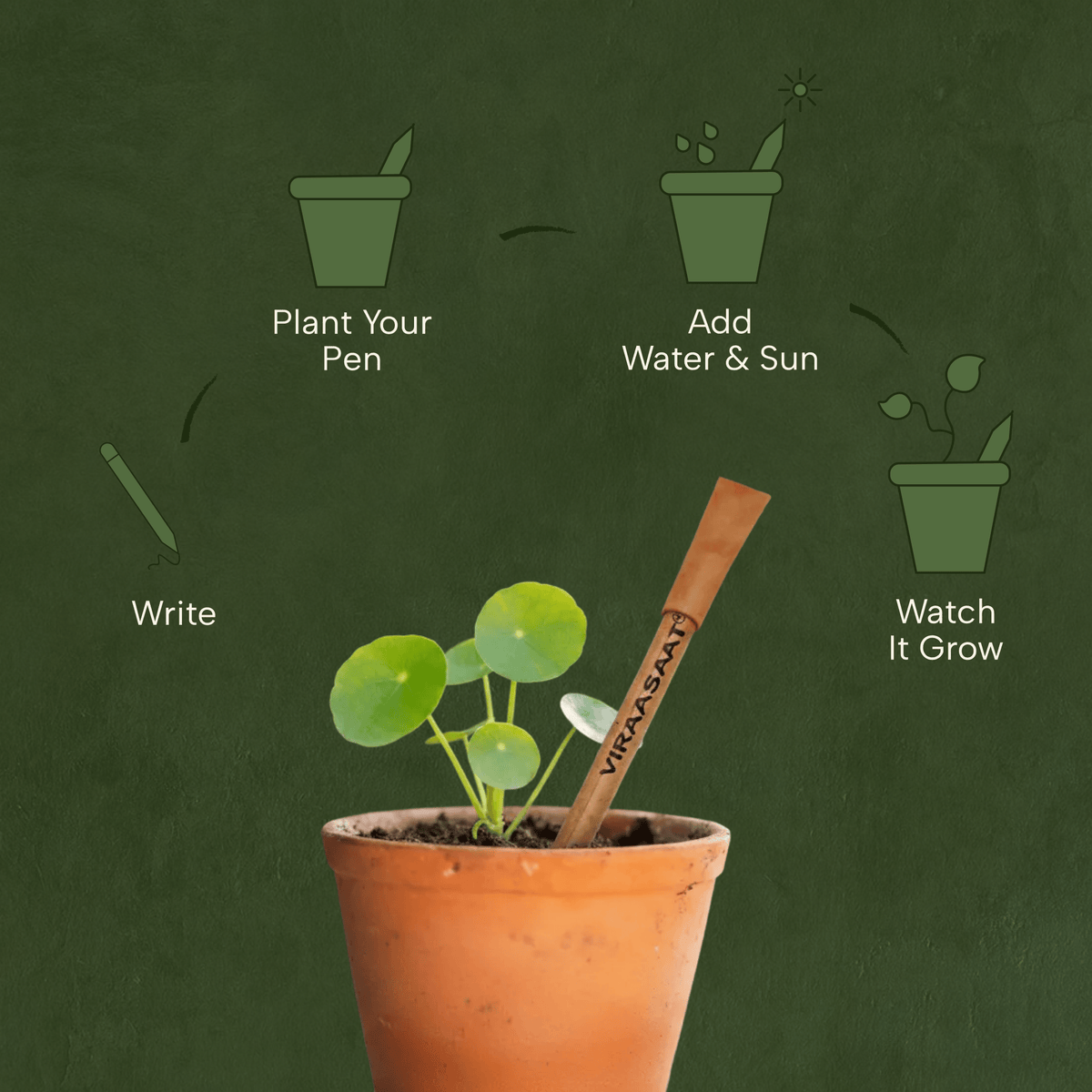 Eco-Friendly Plantable Seed Pens - Write, Plant, and Grow - Biodegradable & Sustainable Writing Solution (Pack of 20)