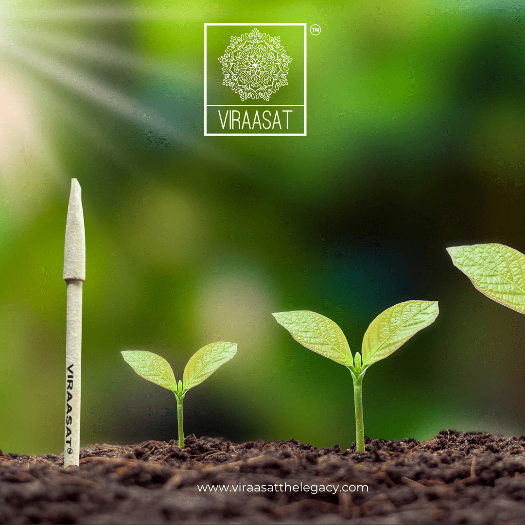 Eco-Friendly Plantable Seed Pens - Write, Plant, and Grow - Biodegradable & Sustainable Writing Solution (Pack of 20)